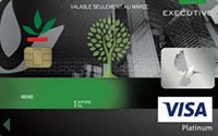 VISA EXECUTIVE PLATINUM